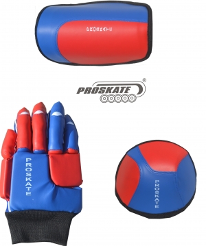 Manufacturers Exporters and Wholesale Suppliers of Proskate Player Kit New Karnal Haryana